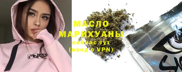 индика Арсеньев