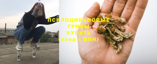 дживик Армянск