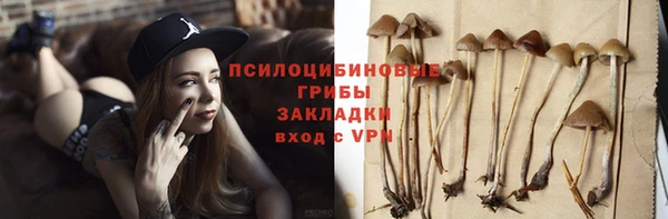 дживик Армянск