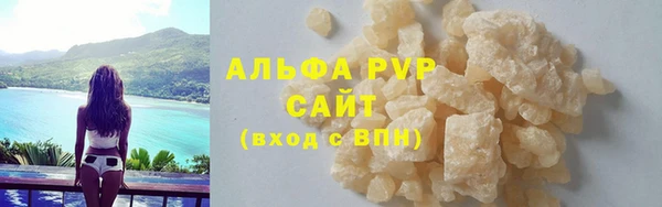 индика Арсеньев