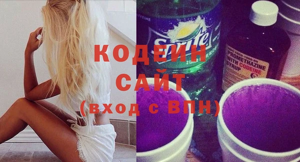 индика Арсеньев