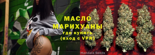 индика Арсеньев