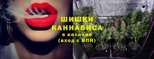индика Арсеньев